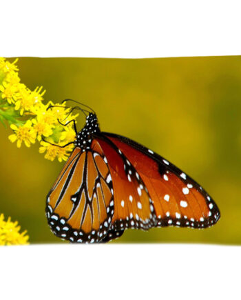 monarch butterfly pillow case